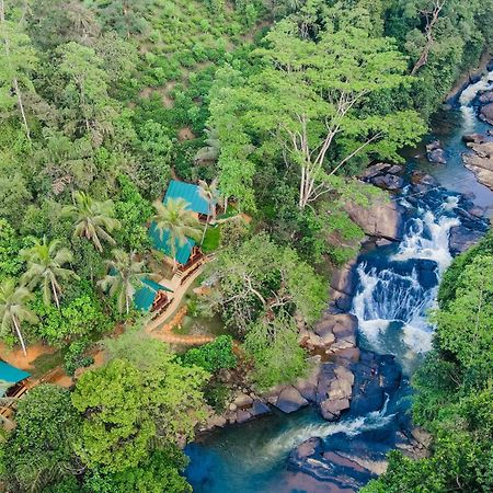 The Rainforest Hideaway Deniyaya Bagian luar foto