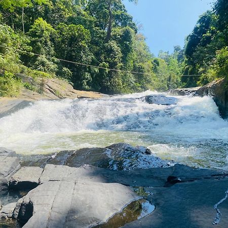 The Rainforest Hideaway Hotel Deniyaya Bagian luar foto