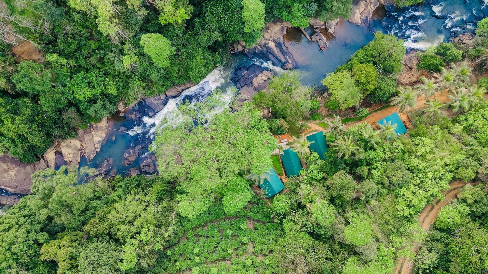 The Rainforest Hideaway Deniyaya Bagian luar foto