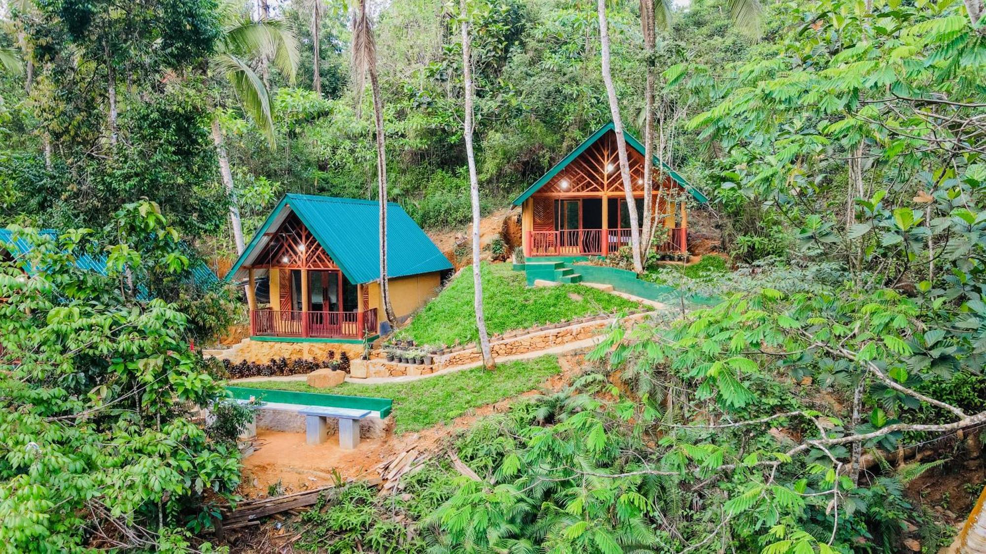 The Rainforest Hideaway Deniyaya Bagian luar foto
