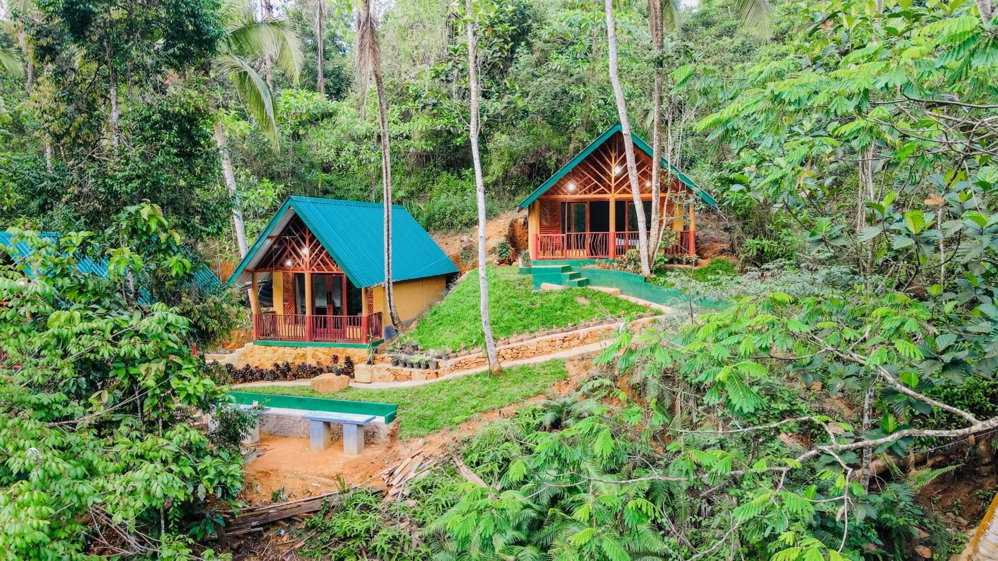 The Rainforest Hideaway Hotel Deniyaya Bagian luar foto