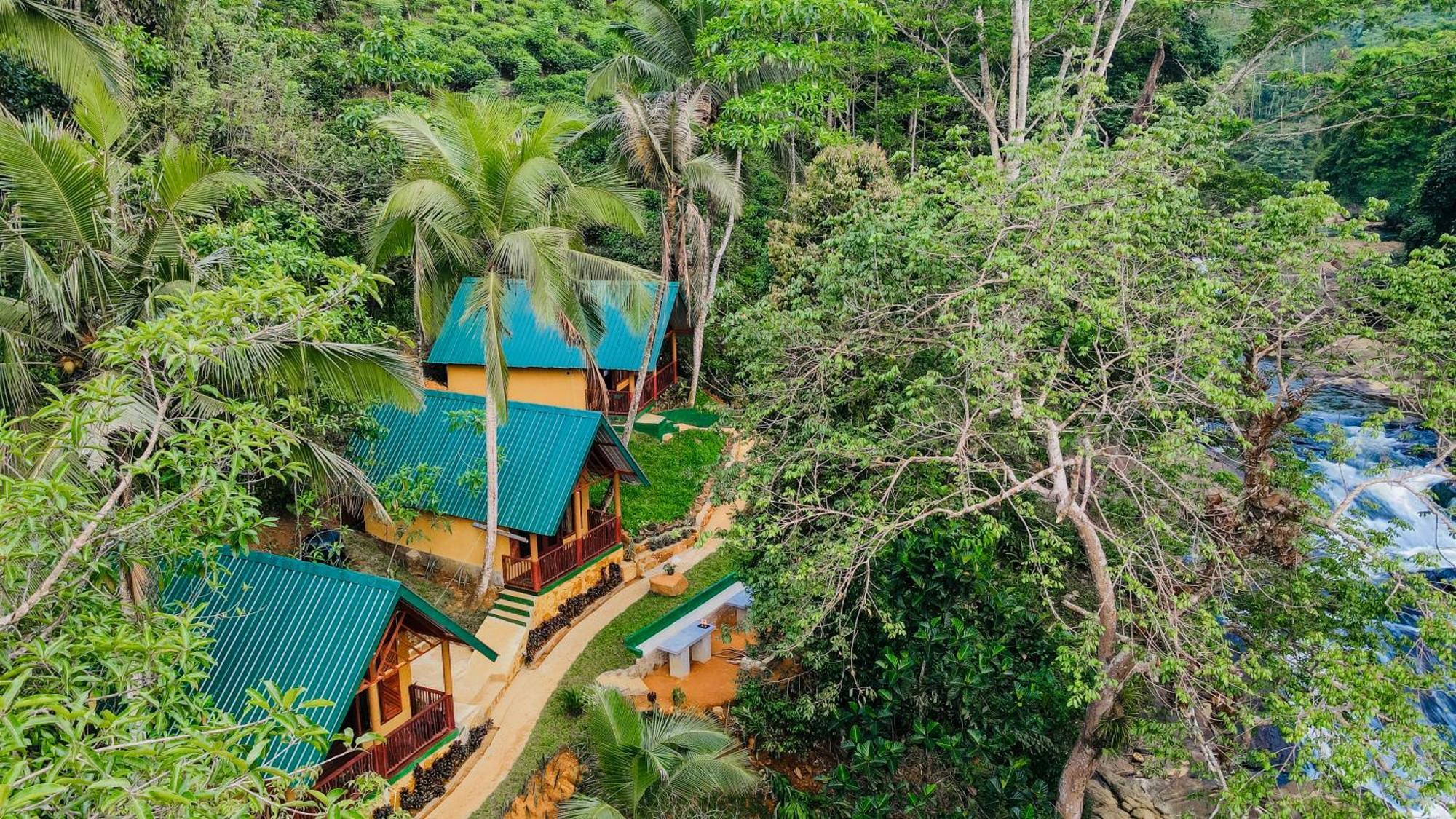 The Rainforest Hideaway Deniyaya Bagian luar foto