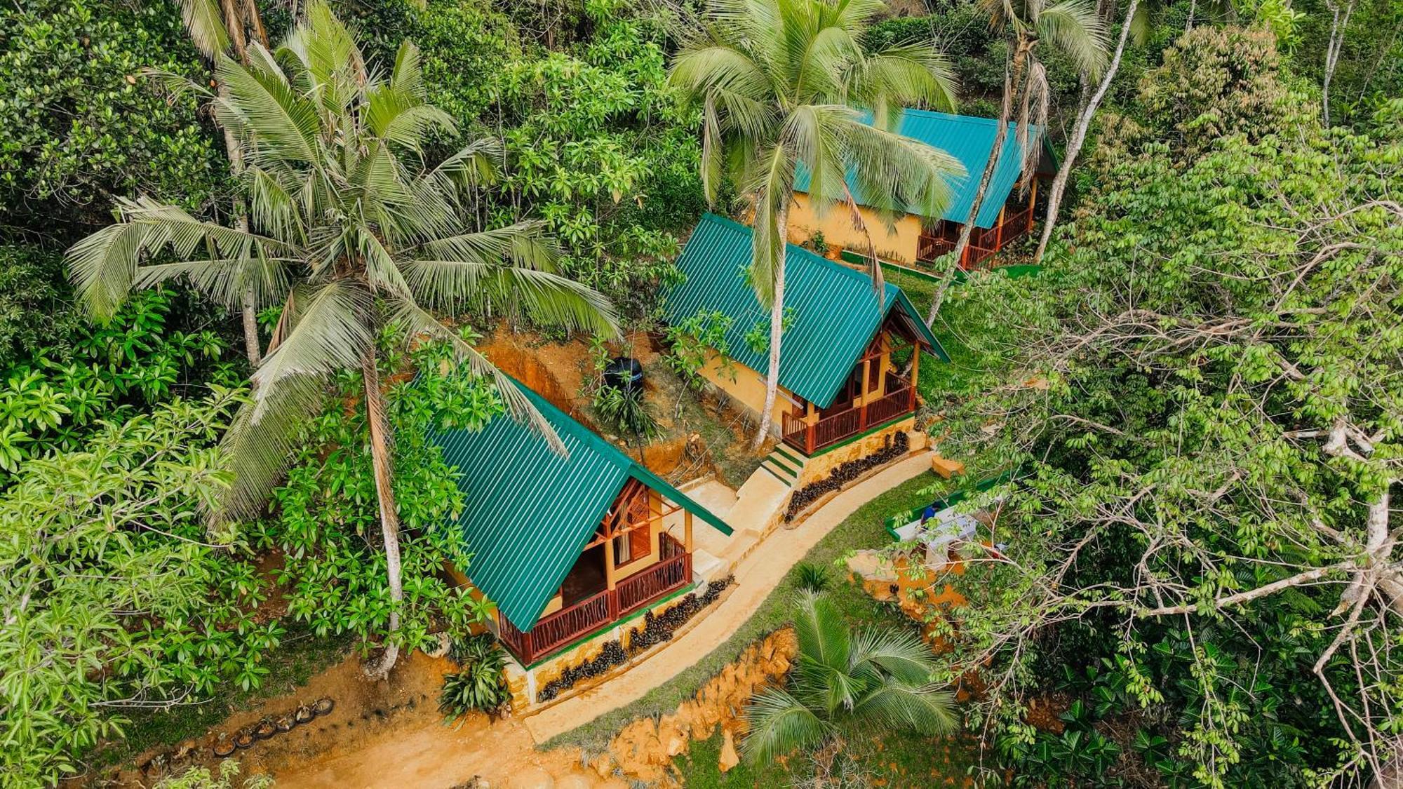 The Rainforest Hideaway Hotel Deniyaya Bagian luar foto