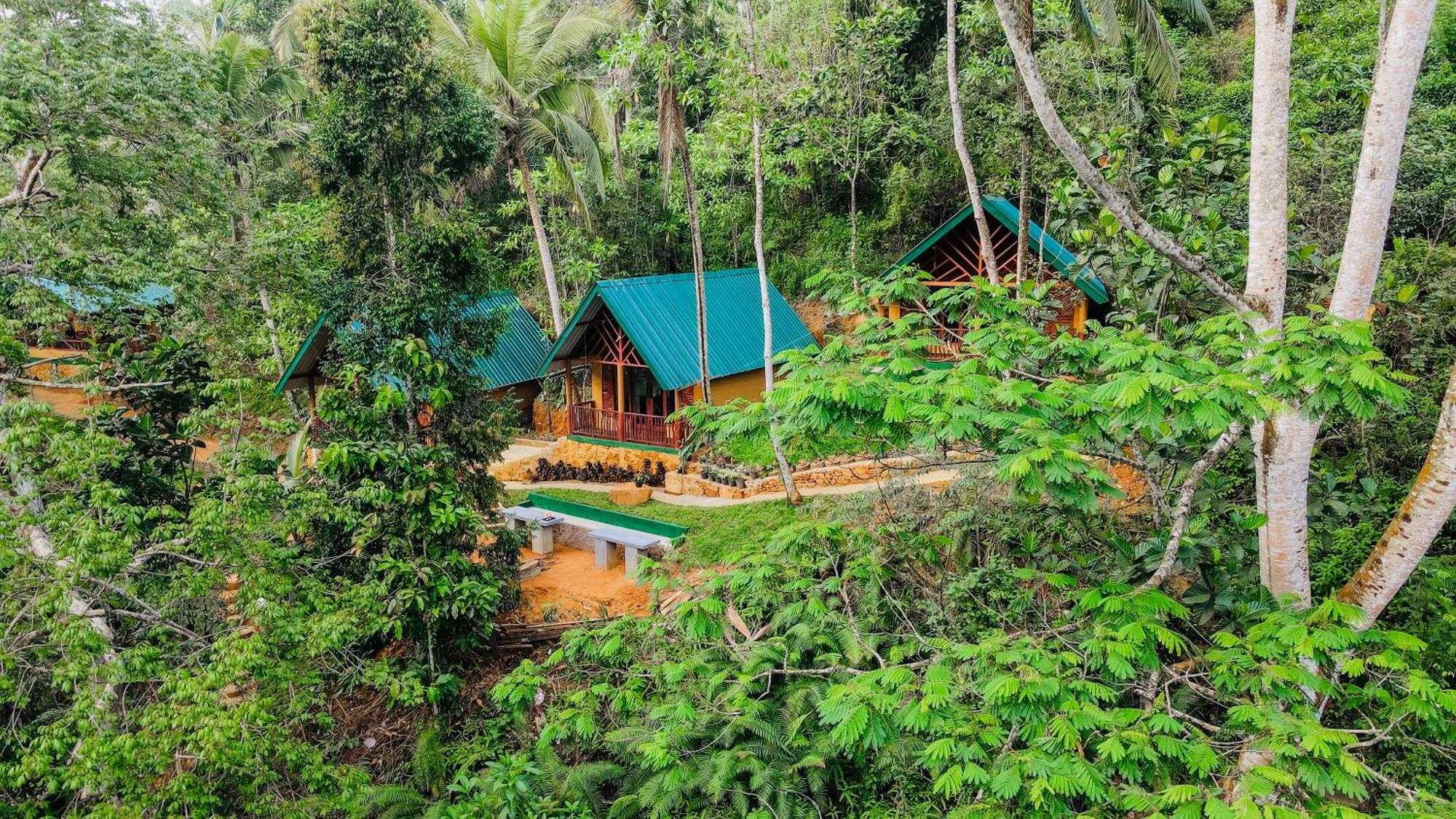 The Rainforest Hideaway Hotel Deniyaya Bagian luar foto