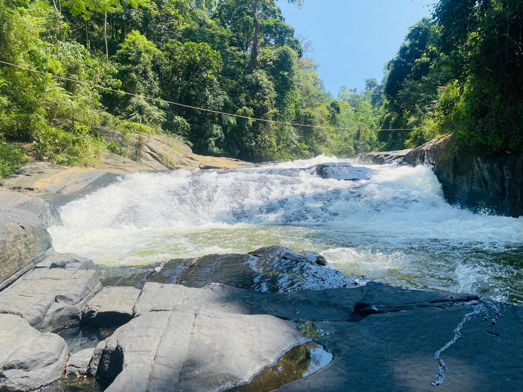 The Rainforest Hideaway Deniyaya Bagian luar foto