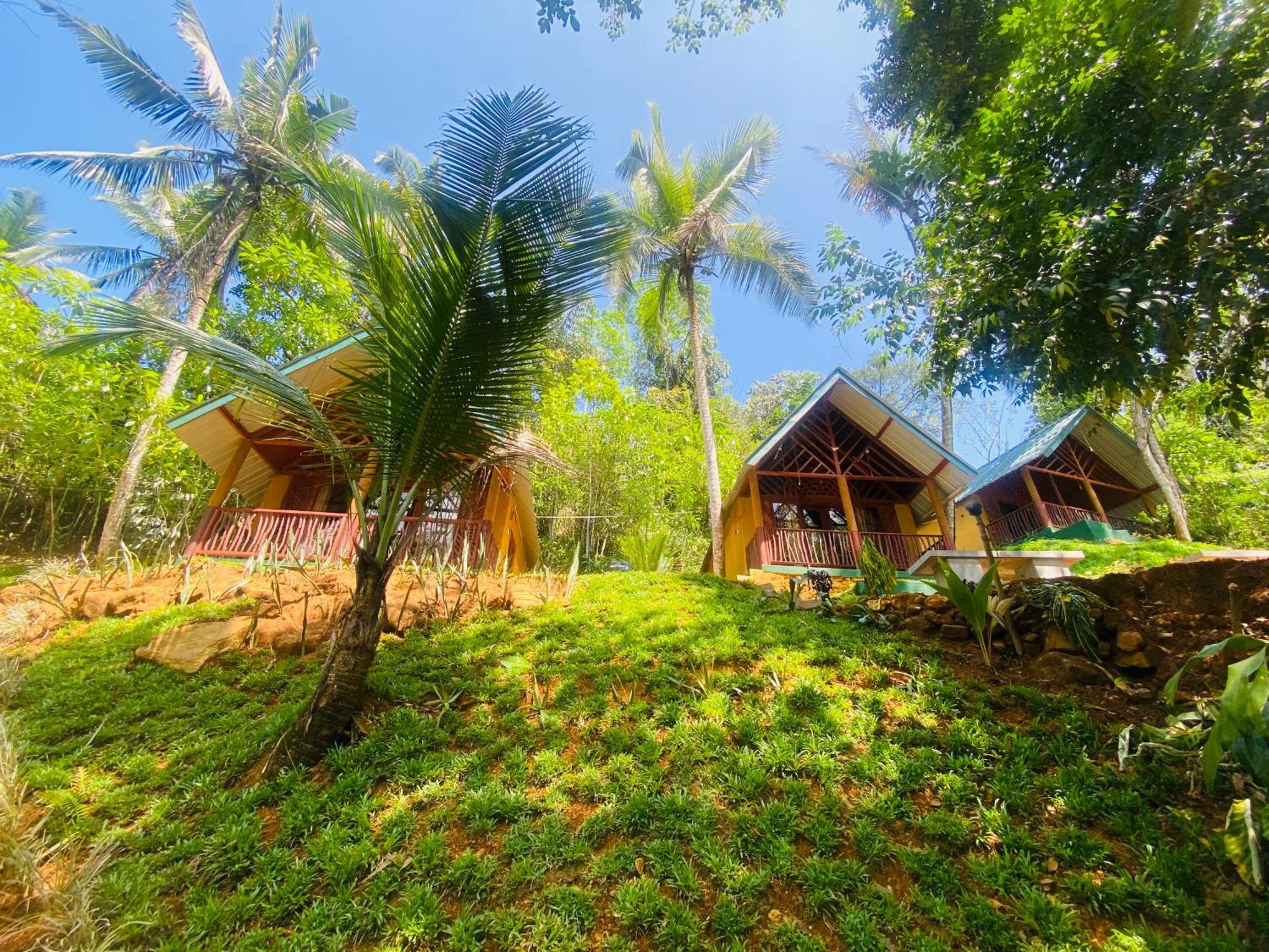 The Rainforest Hideaway Deniyaya Bagian luar foto