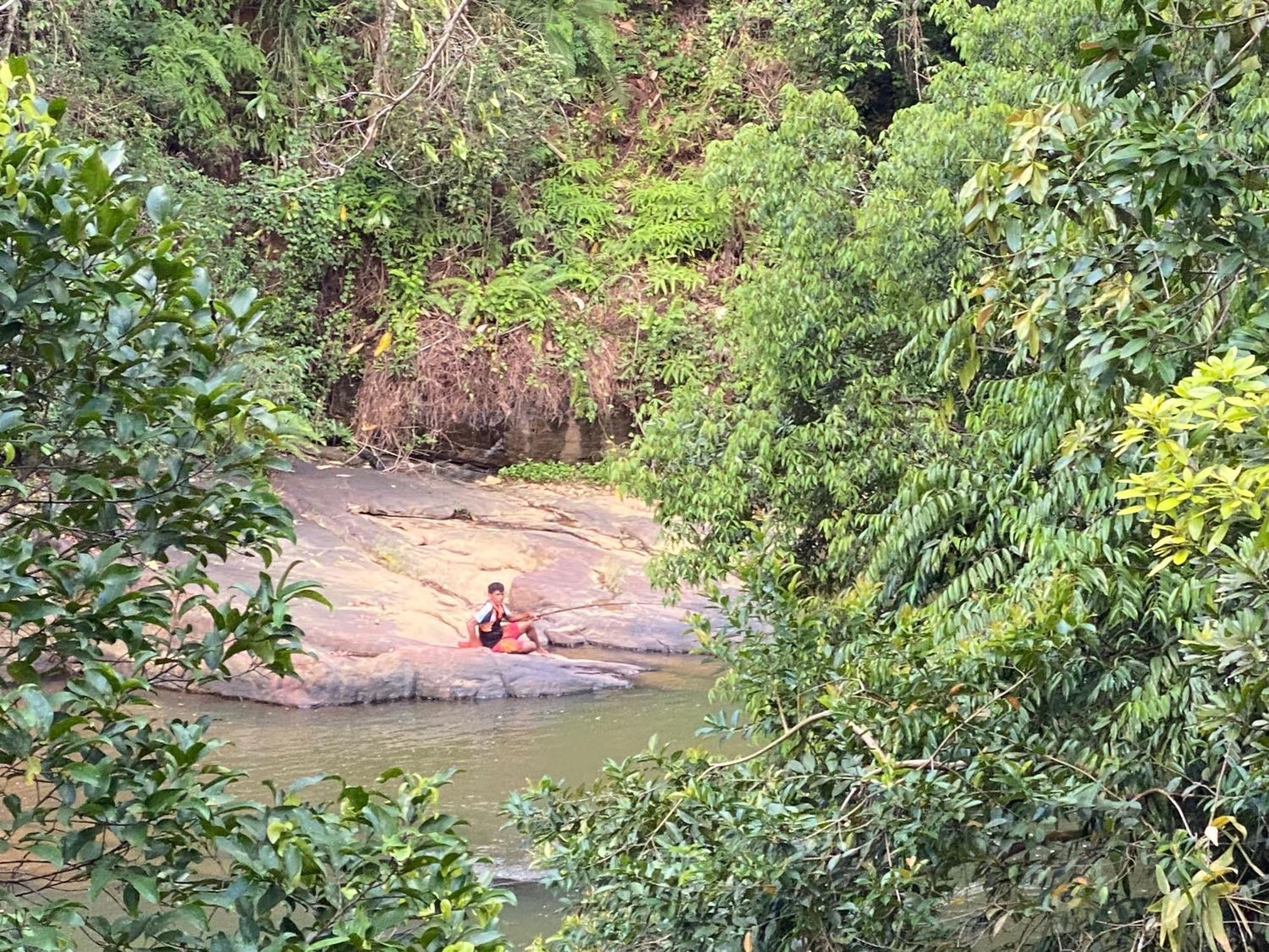 The Rainforest Hideaway Hotel Deniyaya Bagian luar foto