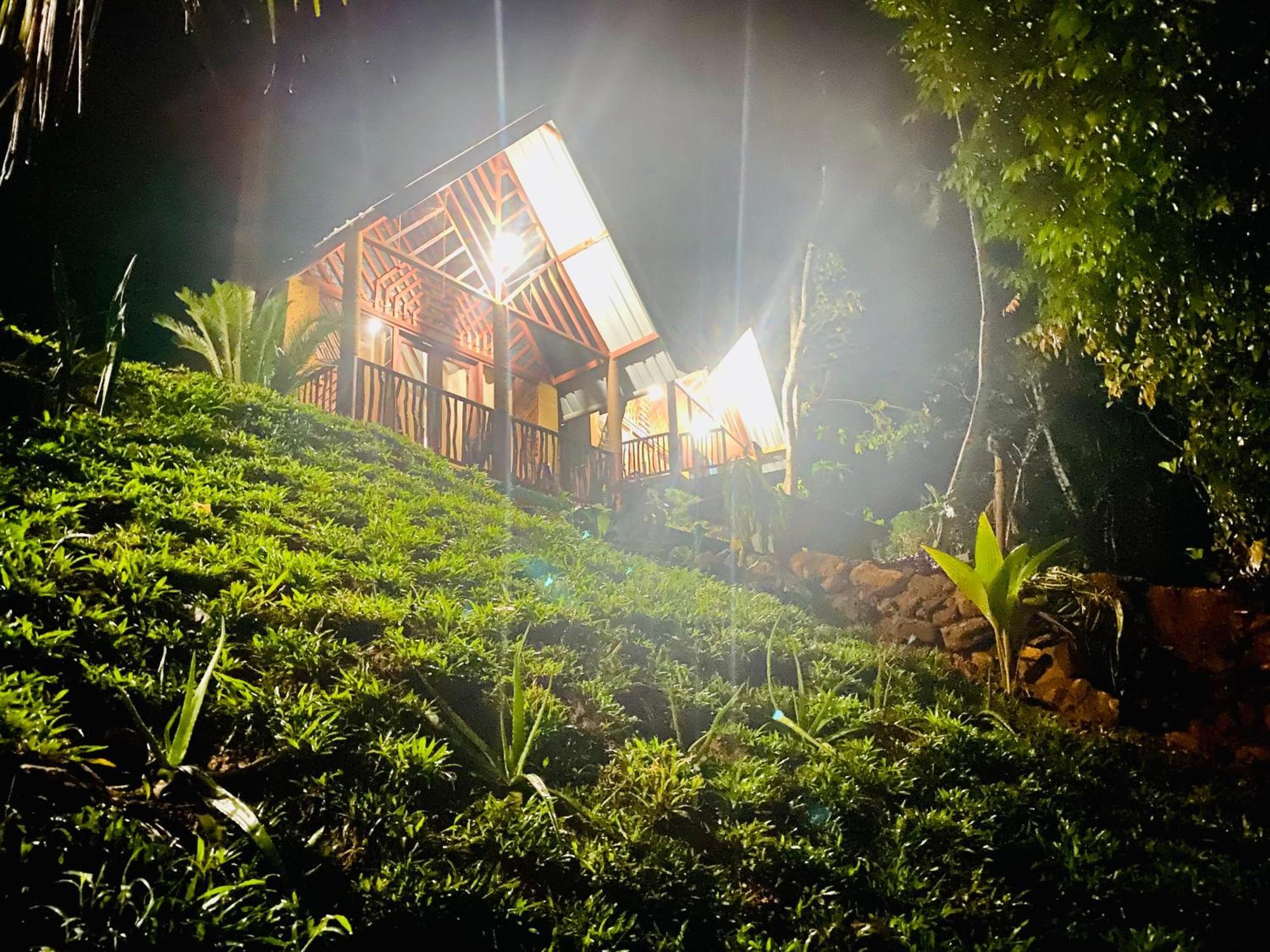 The Rainforest Hideaway Deniyaya Bagian luar foto