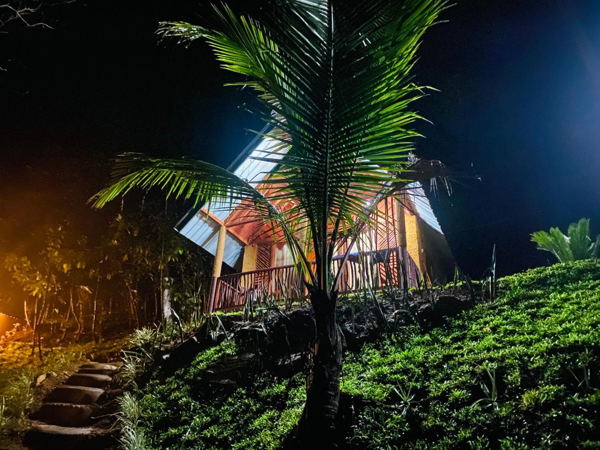The Rainforest Hideaway Deniyaya Bagian luar foto