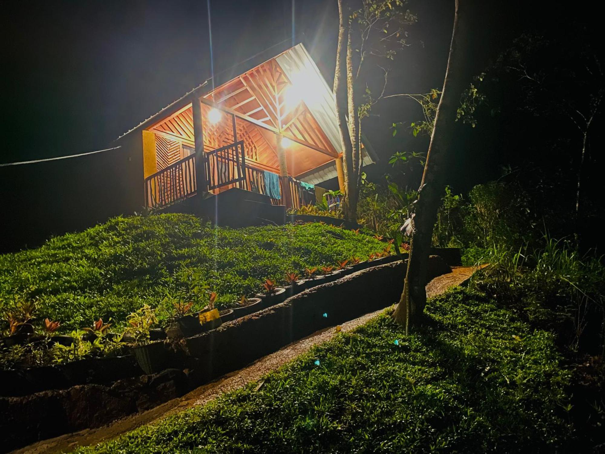 The Rainforest Hideaway Deniyaya Bagian luar foto