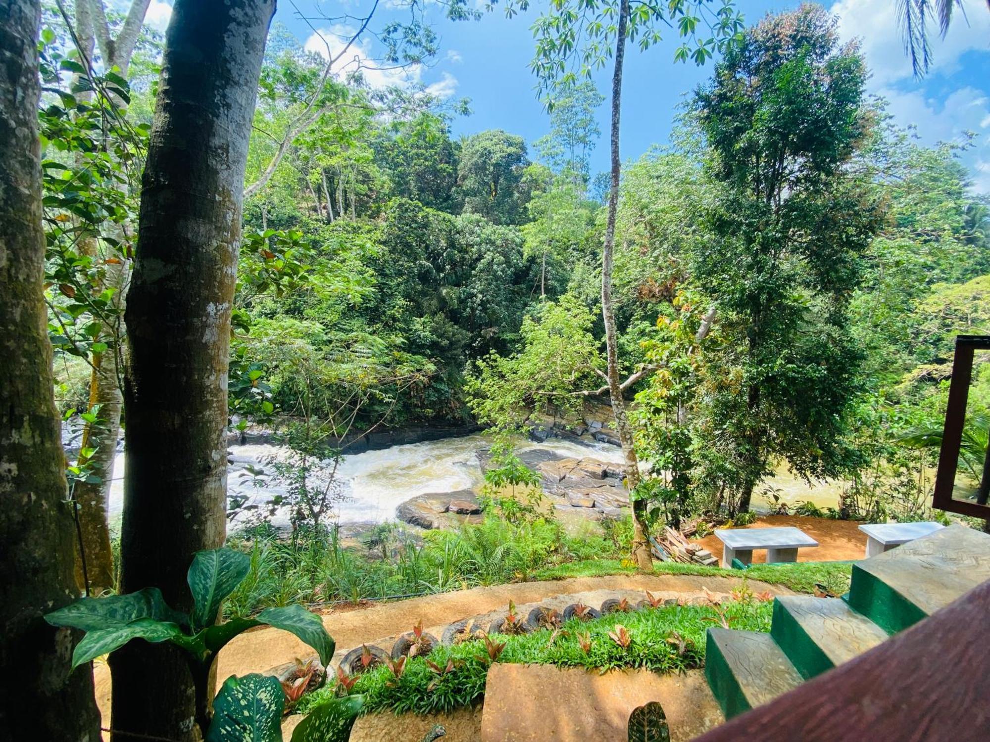 The Rainforest Hideaway Deniyaya Bagian luar foto