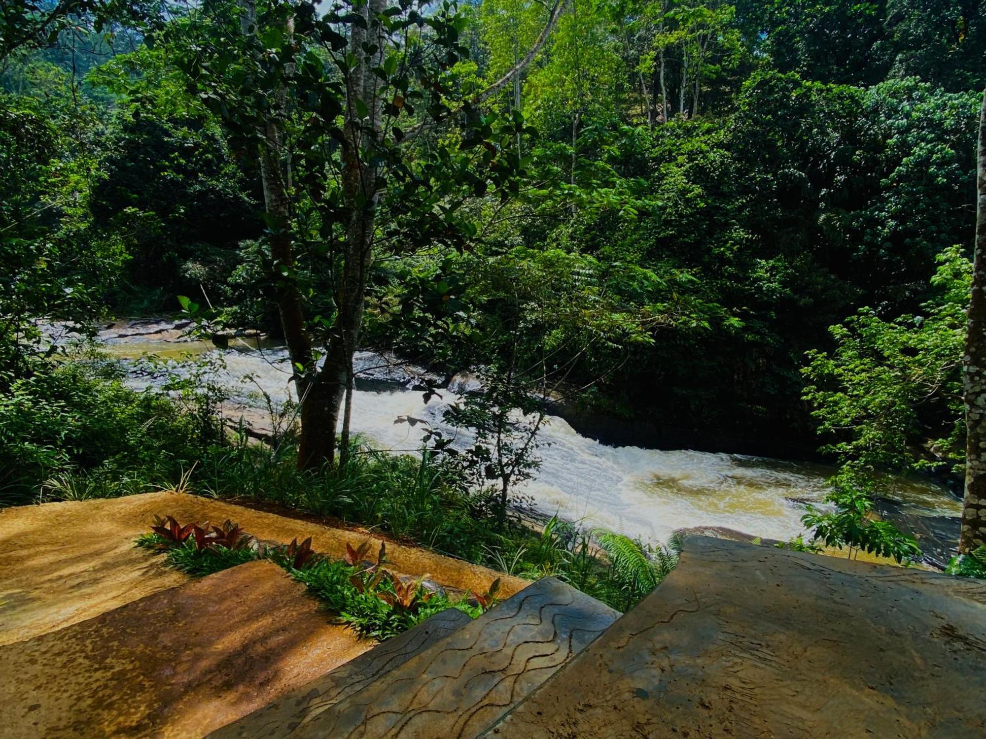 The Rainforest Hideaway Deniyaya Bagian luar foto