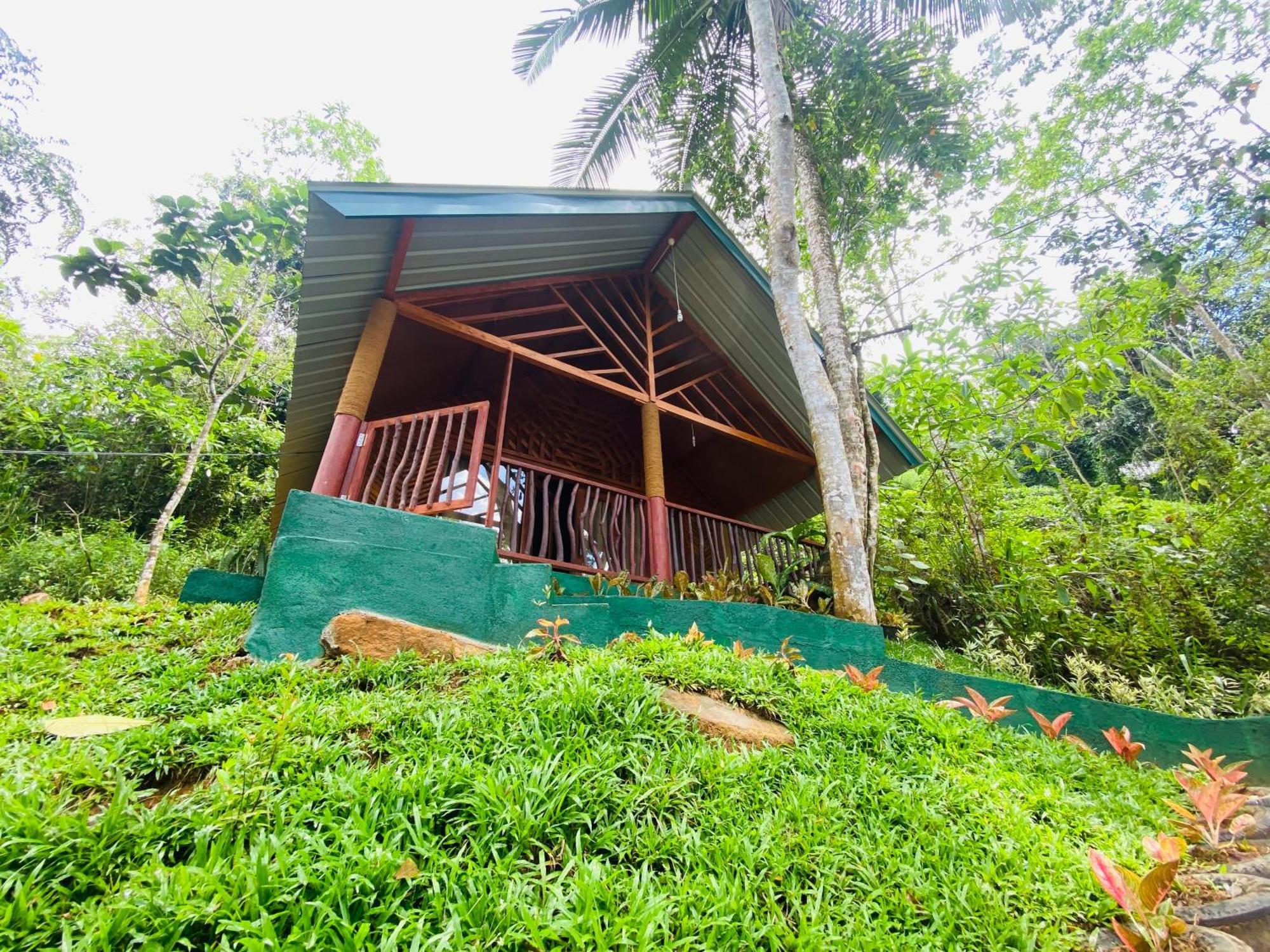 The Rainforest Hideaway Deniyaya Bagian luar foto