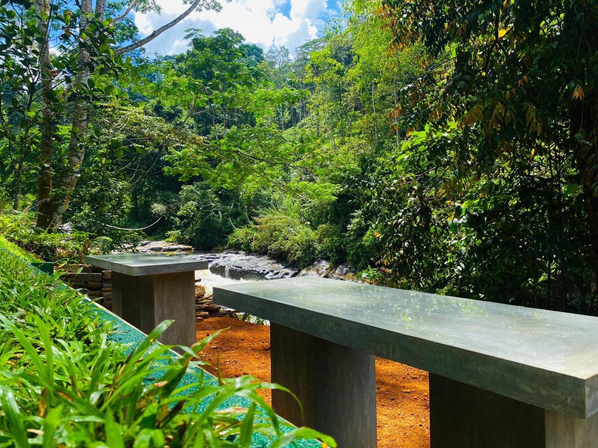 The Rainforest Hideaway Deniyaya Bagian luar foto