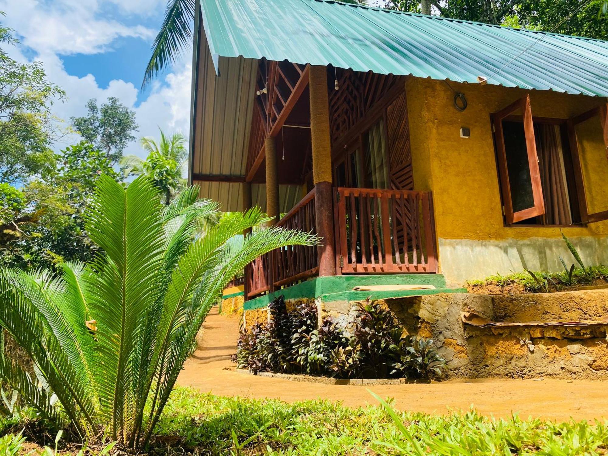 The Rainforest Hideaway Deniyaya Bagian luar foto