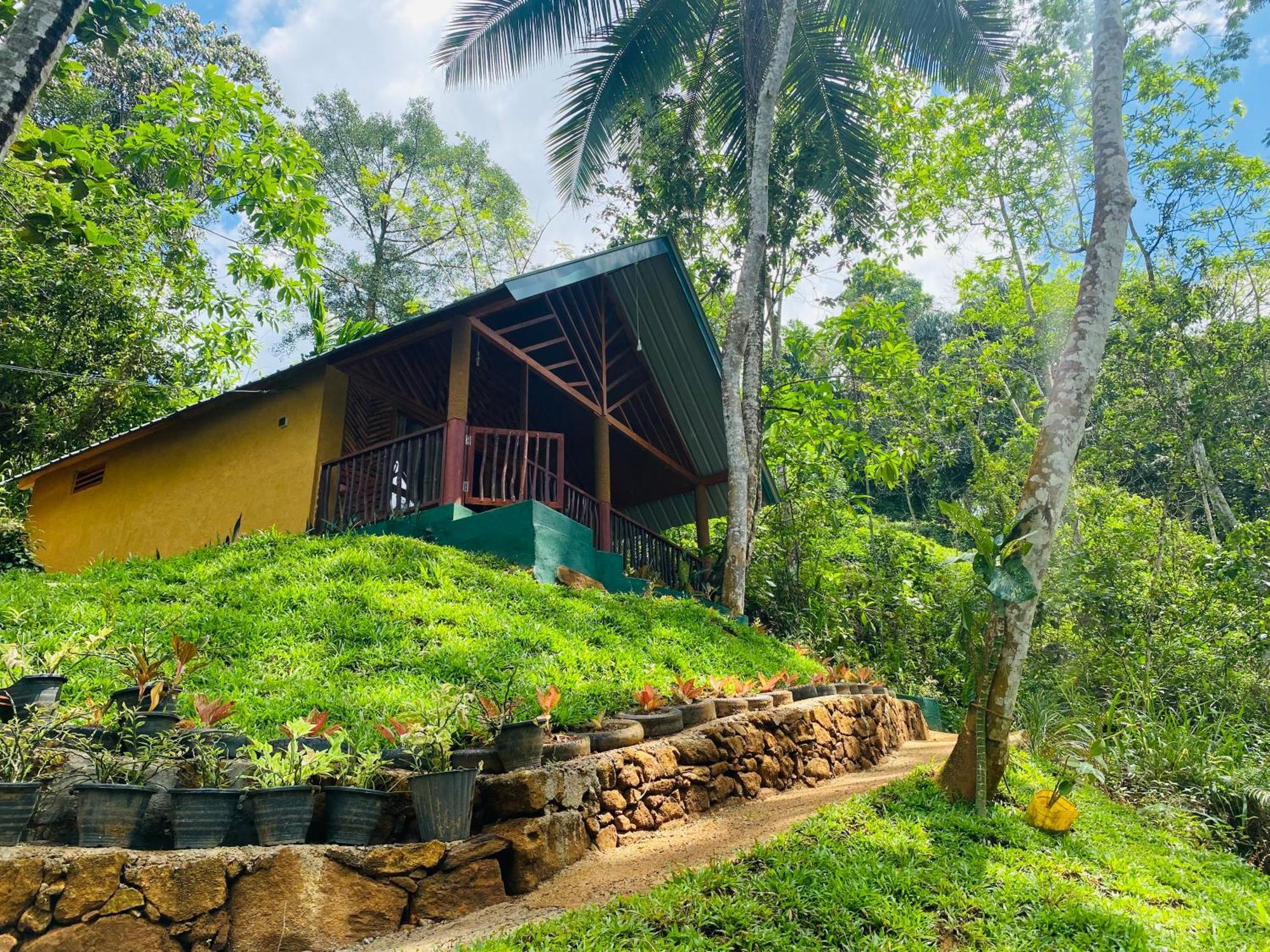The Rainforest Hideaway Deniyaya Bagian luar foto